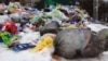 "Захлебнулись в мусоре": в России началась "мусорная реформа"
