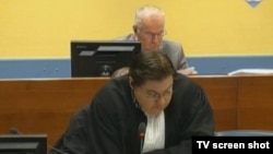 Ratko Mladić i branitelj Dejan Ivetić u sudnici 27. lipnja 2013.