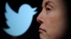 ООН беспокоится о правах человека в Twitter под руководством Маска