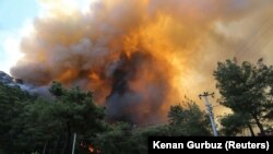 آرشیف، آتش‌سوزی در جنگلات ترکیه