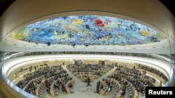 شورای حقوق بشر سازمان ملل 
