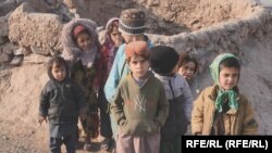 شماری از کودکان خانواده های بیجا شده داخلی در ولایت هرات