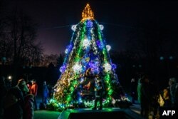 Brad împodobit de Crăciun în Nikolaiev.