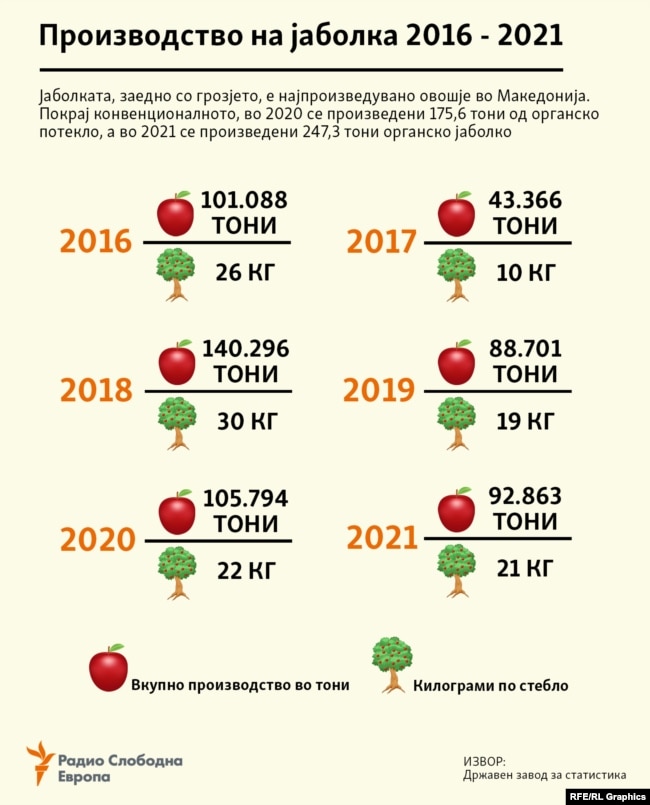 Инфографика - Производство на јаболка во Македонија 2016 - 2021