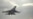 Иран заявил о завершении процедуры закупки Су-35 у России