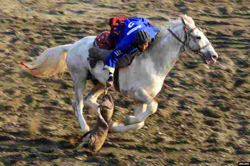 An Afghan horse rider competes during a Buzkashi tournament match in Kabul.