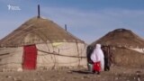 Ооган кыргыздары: Тумоо каптап, көз жумгандар бар