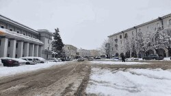 თელავი