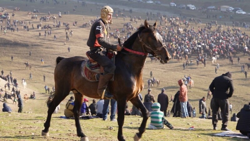 Верблюд, главный приз бузкаши в Хатлоне, достался наезднику из Узбекистана.  ВИДЕО