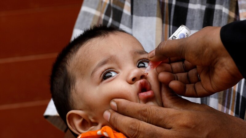 پاکستان کې د ګوزڼ ضد واکسين کمپاين پيل شوی