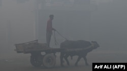 A Pakistani farmer rides cart pulled by a water buffalo along a street amid heavy smog conditions in Lahore. (file photo)