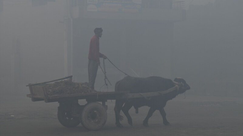Air Pollution Now A Major Risk To Life Expectancy In South Asia, Says Study