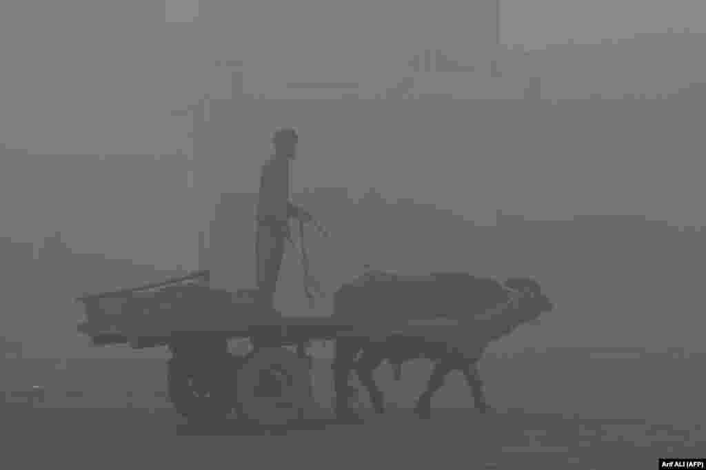 A farmer rides a cart pulled by a water buffalo along a street amid heavy smog in Lahore, Pakistan.