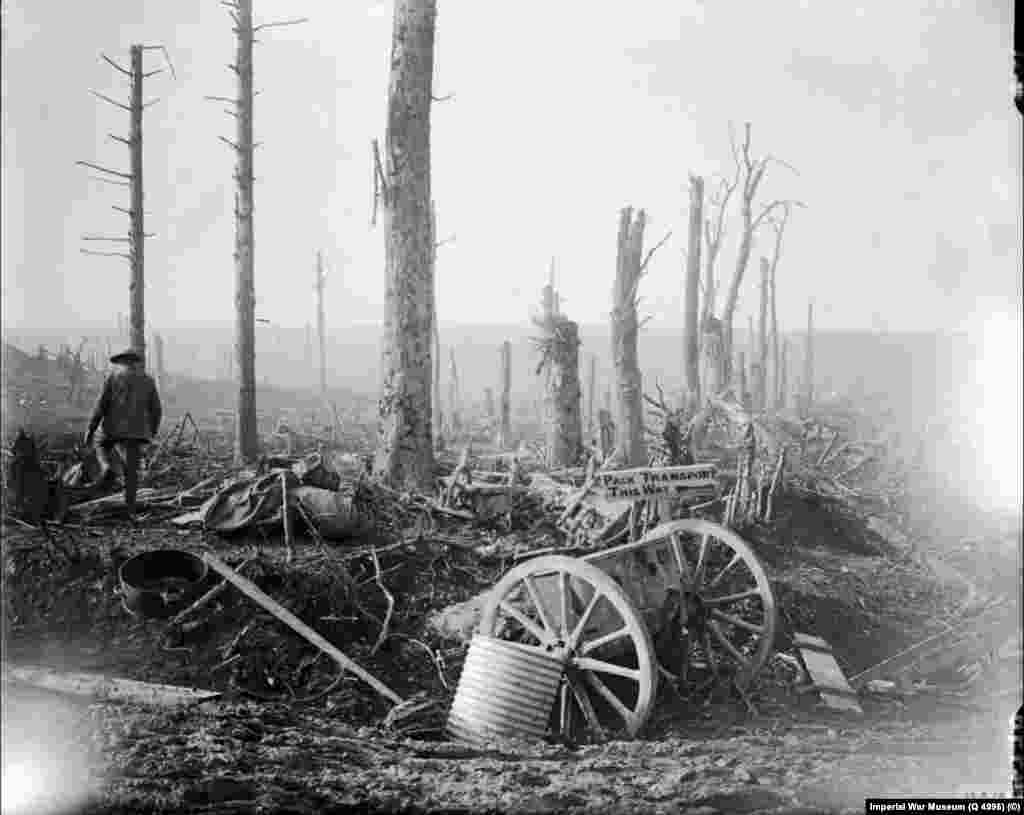 A damaged cart in front of shrapnel-stripped trees near Courcelette, in northern France, in March 1917.&nbsp;