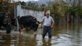Përmbytjet rëndojnë jetën e banorëve në Shqipëri