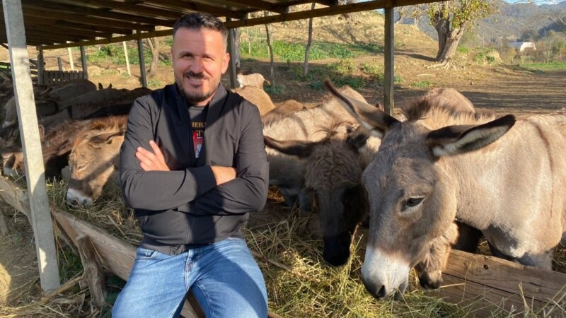 “S’u pendova që lashë Tiranën” - gazetari që u bë fermer gomaricash 