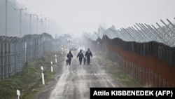 Kutyás rendőrök járőröznek a magyar–szerb határon 2022. december 15-én