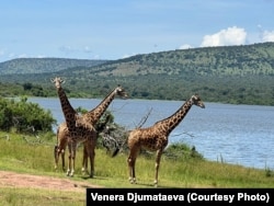 Руанданын улуттук паркы