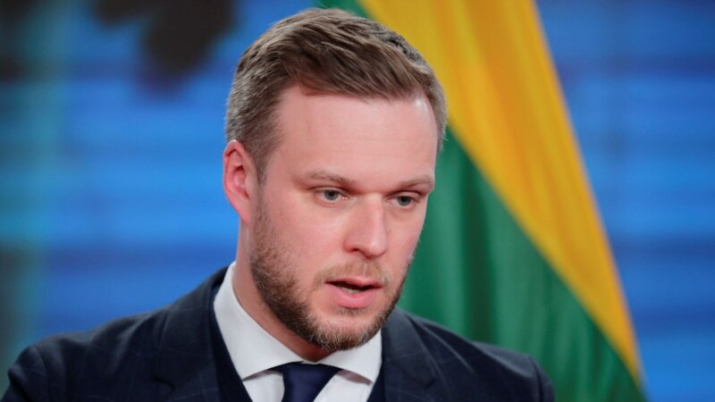 Глава МИД Литвы: военная угроза РФ должна вызывать обеспокоенность и у Грузии