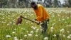 A farmer removes weeds with a hoe at a flower plantation near Nairobi, Kenya. Russia's war in Ukraine has pushed up fertilizer prices that were already high, made scarce supplies rarer still, and squeezed farmers, especially those in the developing world struggling to make a living.