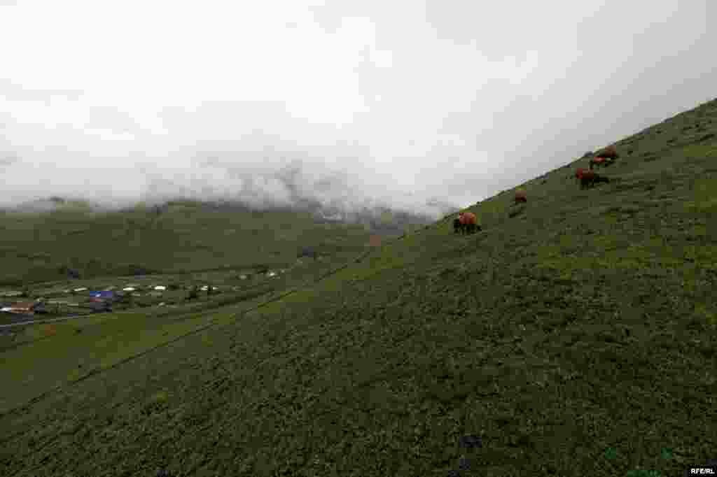 Xınalıq kəndinin yay qayğıları #26