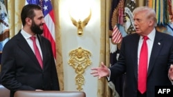 Ахмед аш-Шараа и Дональд Трамп 