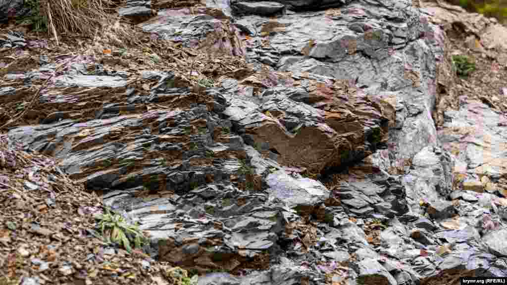 Альбітові діабази &ndash; магматична гірська порода основного складу з сімейства базальтів