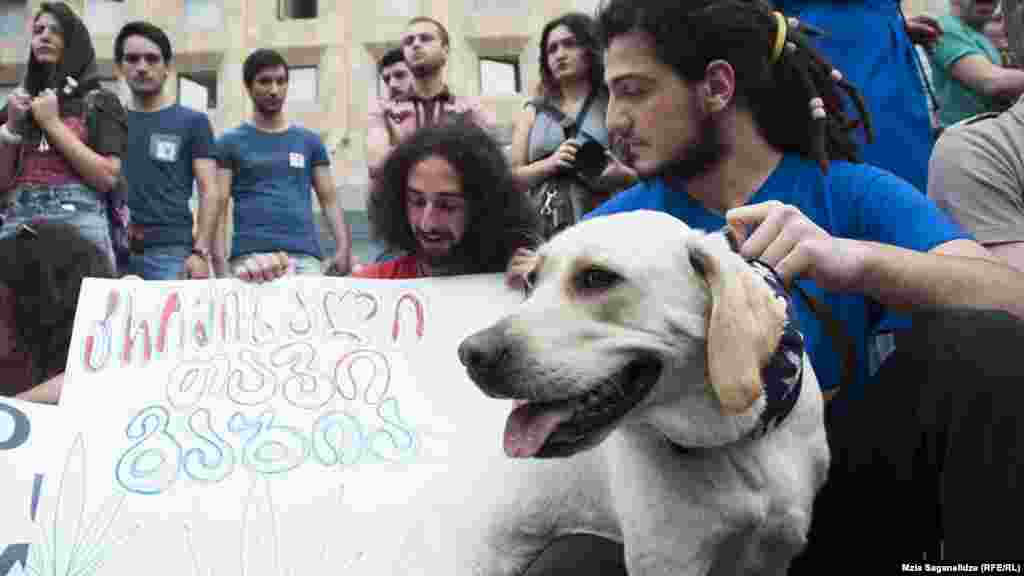 Georgia -- Rally at the request of marijuana decriminalization, Tbilisi, 02Jun2015