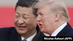 Xi Jinping i Donald Trump, fotoarhiv