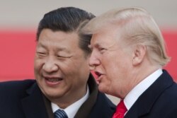 Президент Китаю Сі Цзіньпін та США Дональд Трамп під час візиту американського лідера до Пекіну. Листопад 2017 року