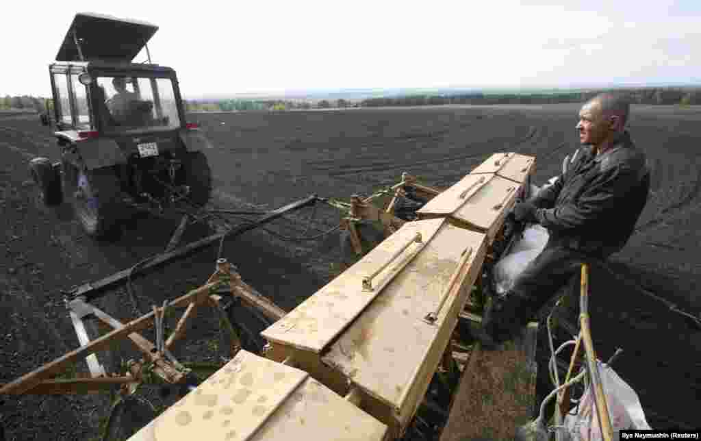 Inmates operate a tractor and a seeder while sowing barley.