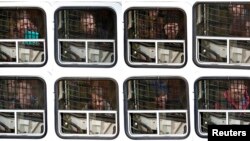 Некоторые из арестованных активистов Greenpeace, покидающие Ленинский районный суд в Мурманске. 3 октября 2013 года. 