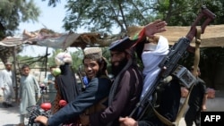 شماری از جنگجویان گروه طالبان
