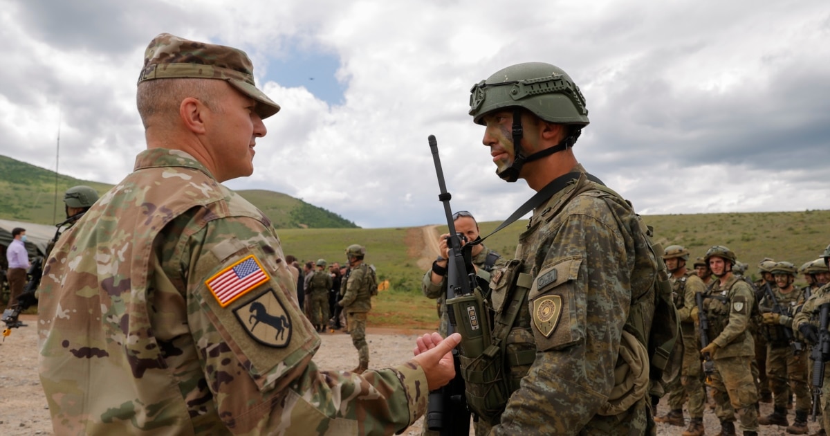 Stradner  Rezoluta amerikane për Kosovën në NATO është  sinjal i fortë politik 