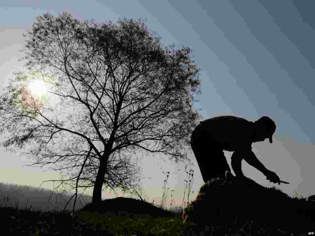 Бар дөнья буйлап мөселманнар &nbsp; гаеткә корбан чалды.