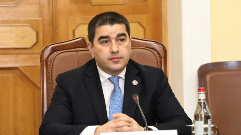 Спикер парламента Грузии обвинил НПО в «нездоровой солидарности»