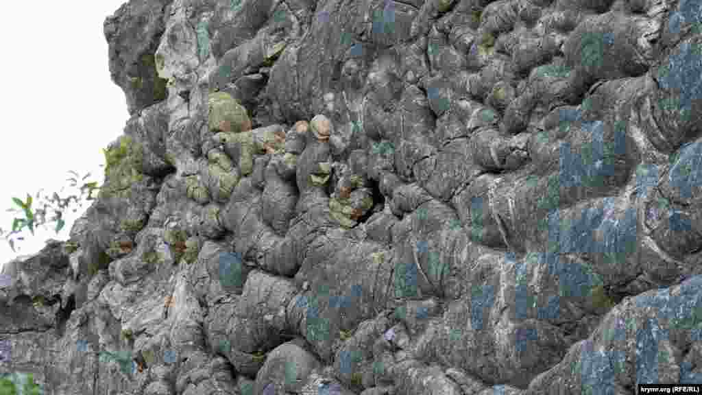 Этот участок застывшей миллионы лет назад растекающейся вулканической лавы напоминает строение человеческого мозга