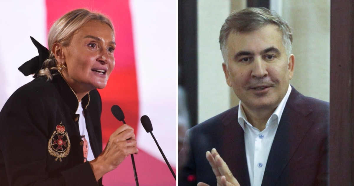 სააკაშვილი: შევთანხმდით, შემოვიერთოთ ნანუკა ჟორჟოლ