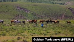 Kyrgyzstan - weather - nature - water - Papan reservoir (Papan suu saktagychy), is a reservoir of the river. Ak-Buura. April 17, 2022