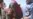 Taliban Release 12 Of 19 South Koreans