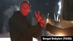 Russian opposition leader Aleksei Navalny flashes the victory sign as he is detained upon his arrival at Sheremetyevo International Airport on January 17.