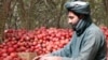 Most of Kandahar pomegranates are exported to foreign countries.
2024/11/10
د کندهار انار چې ډېری يې بهرنيو هېوادونو ته صادريږي.