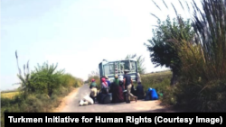 Pagtaçylar. Türkmenistan 