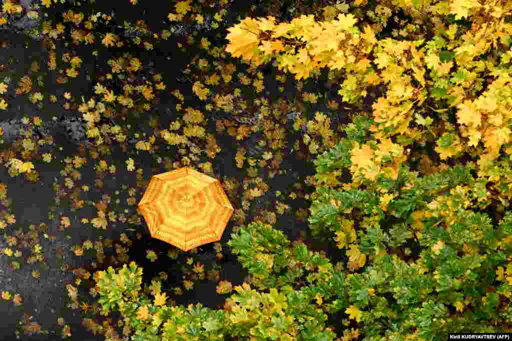 A woman shelters from the rain under an umbrella while walking on an autumn day in Moscow.