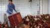 FRANCE-POULTRY-FARMING-ANIMALS-ASSOCIATION