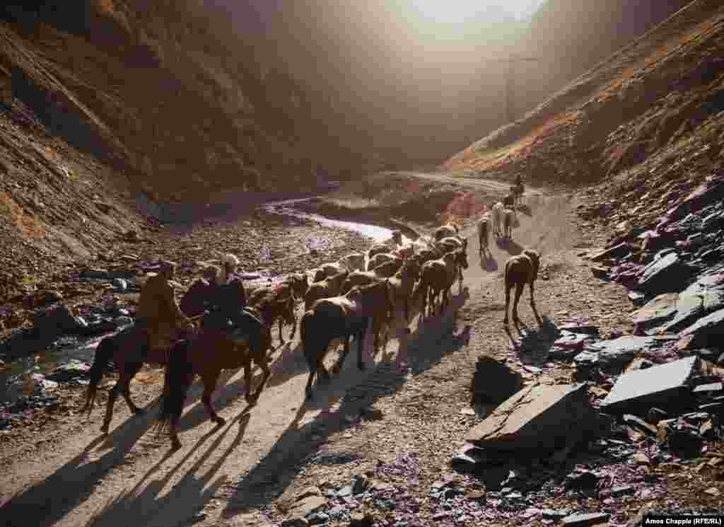 Пастухи перегоняют лошадей в горах Тушетии, Грузия, 11 октября (фото Эймоса Чаппла). Чаппл пишет: &laquo;Это был конец первого дня съемок истории о грузинке, которая пасет лошадей. Она спустилась с гор на равнины Кахетии, где лошади проведут зиму. День был насыщен событиями. Меня чуть не скинула лошадь по кличке Аль-Каида. Эта фотография была сделана после того, как я запрыгнул в кузов старого советского грузовика, который вез бетонные оросительные трубы. Я некоторое время ехал в грузовике, когда он качался по этим горным тропам, пока не увидел стадо. Я спрыгнул, и у меня было достаточно времени, чтобы сделать несколько снимков на закате. Надя Берд, внештатный корреспондент Азаттыка в Грузии, ехала впереди стада, а грузинские пастухи ехали позади, они направлялись к лагерю и долгожданный ужин&raquo;