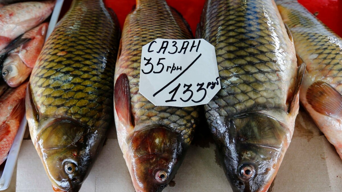 почем рыбка