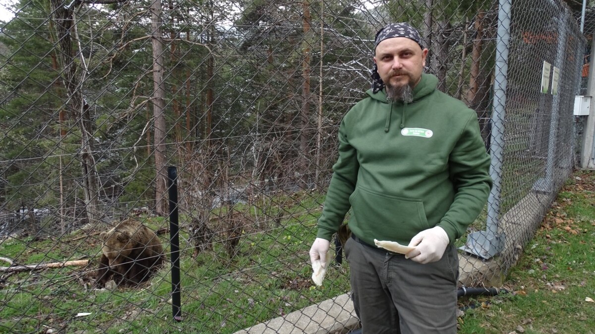 Паркът за танцуващи мечки в Белица е спасил десетки животни,
