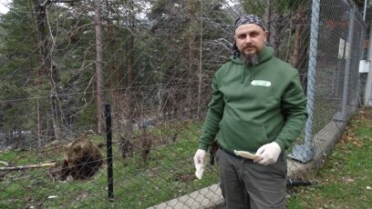 Паркът за танцуващи мечки в Белица е спасил десетки животни