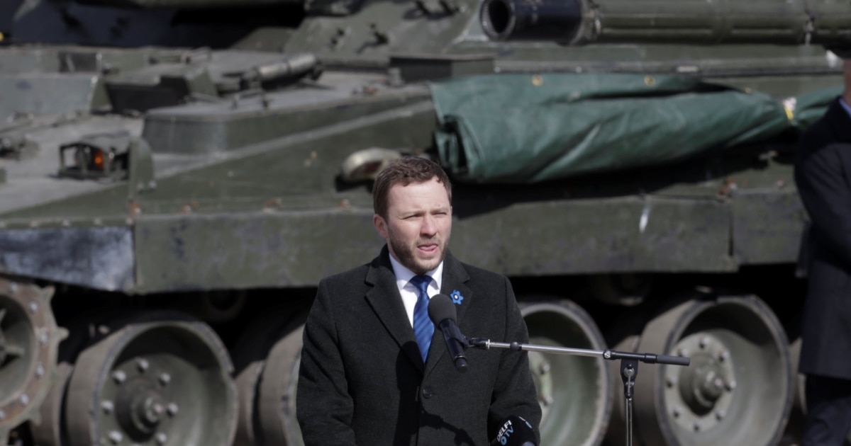 Estonia Defense Chief Says Russia May Move Troops To Belarus To ...